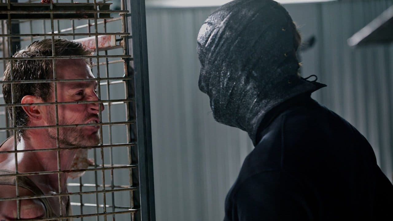 The Collection backdrop