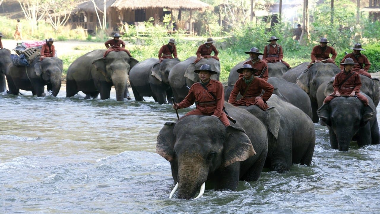 Sunny et l'éléphant backdrop