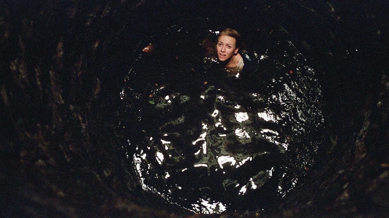 Le Cercle : The Ring 2 backdrop