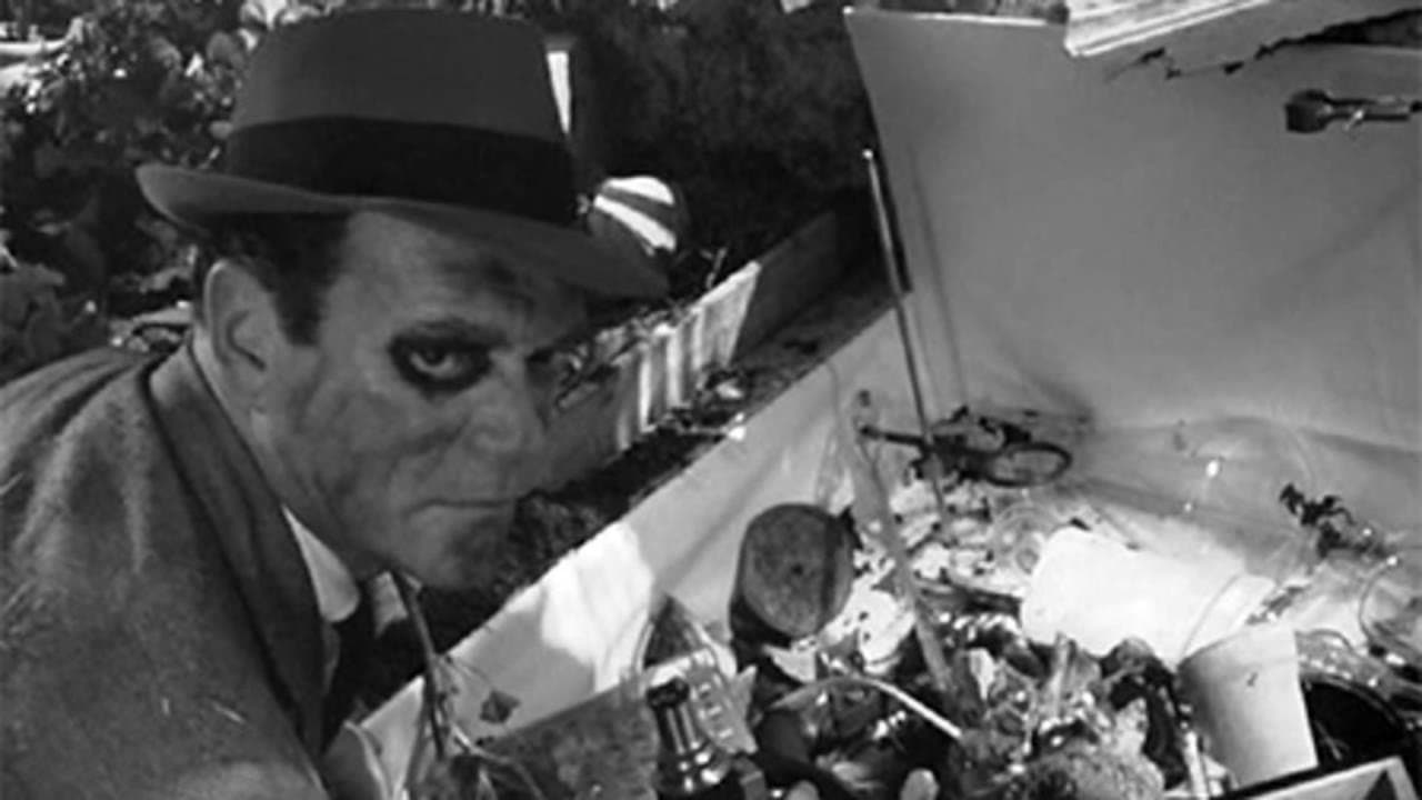 Faites vos jeux, mesdames backdrop