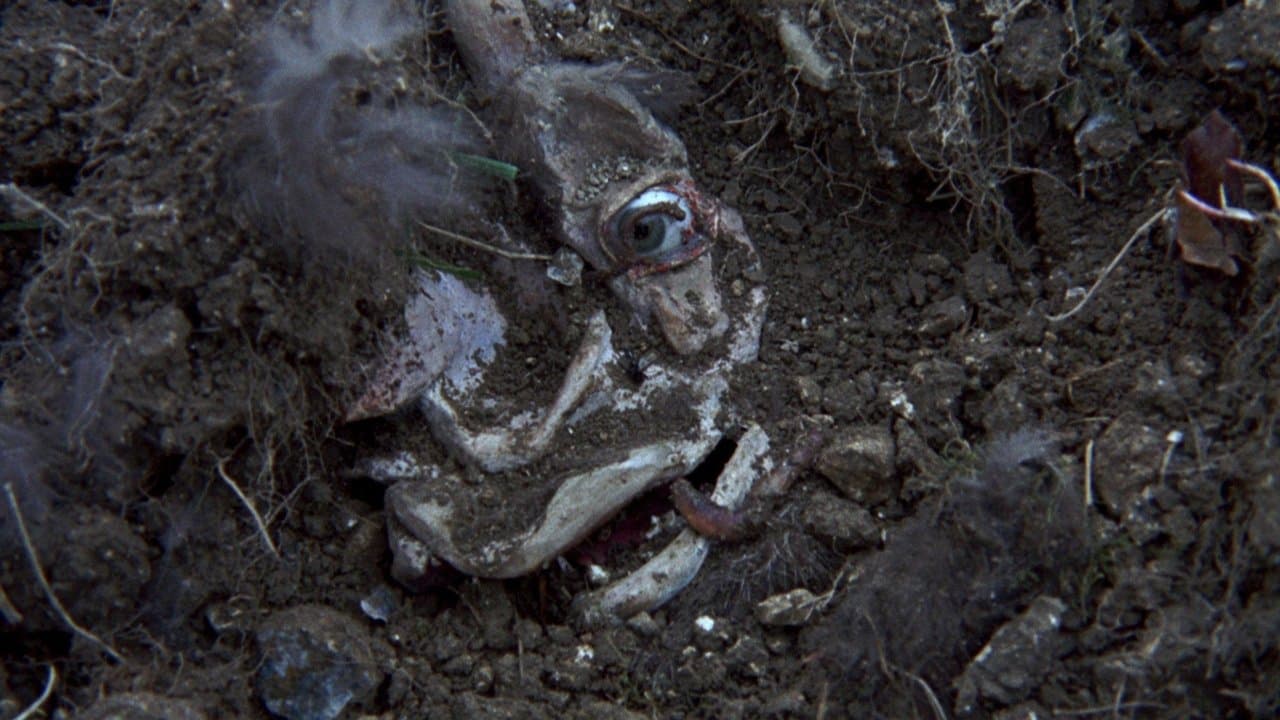 La Nuit des maléfices backdrop