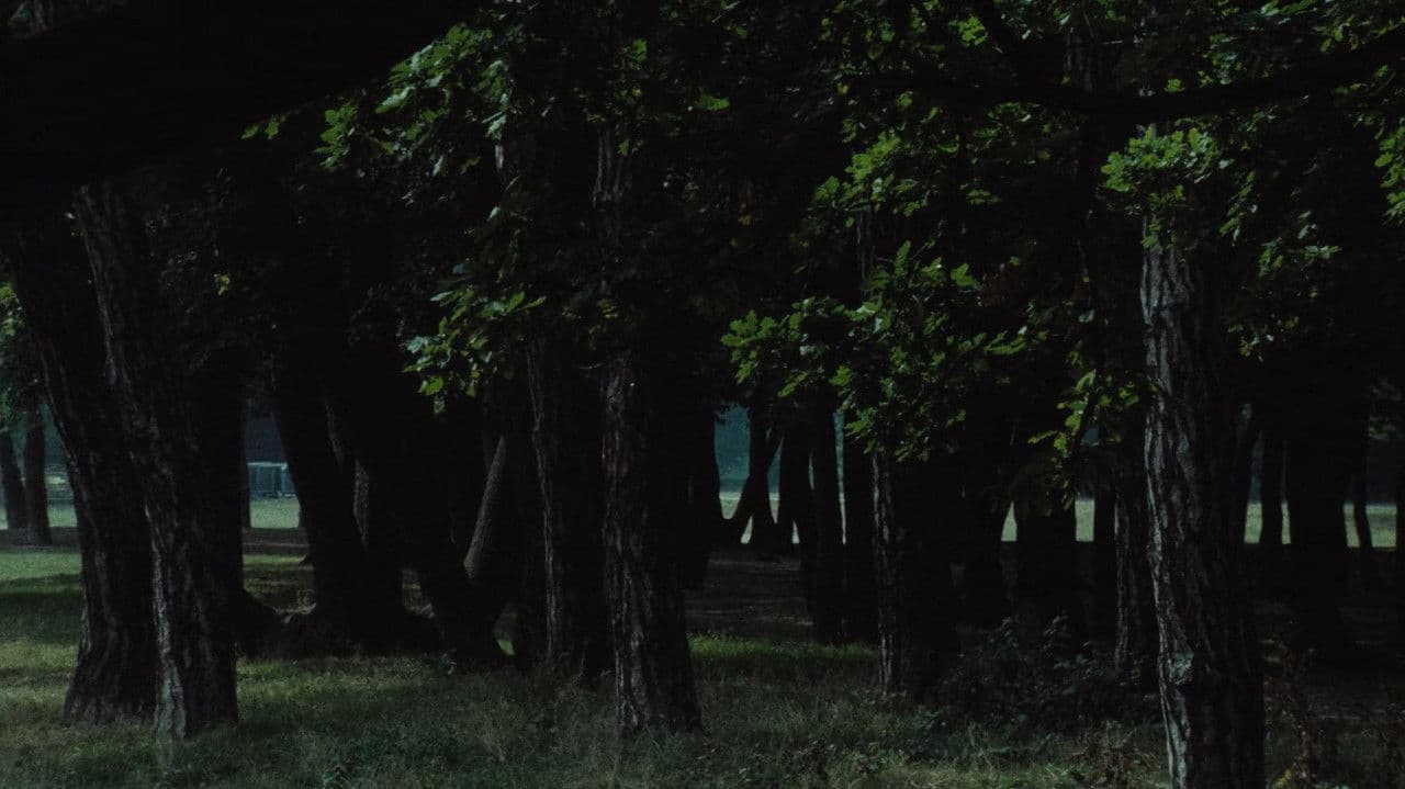 Le Navire Night backdrop