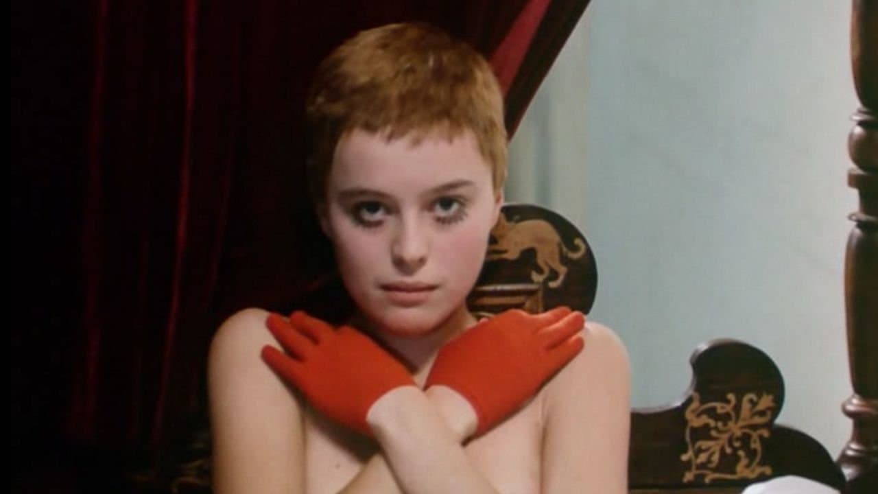 Les oiseaux, les orphelins et les fous backdrop