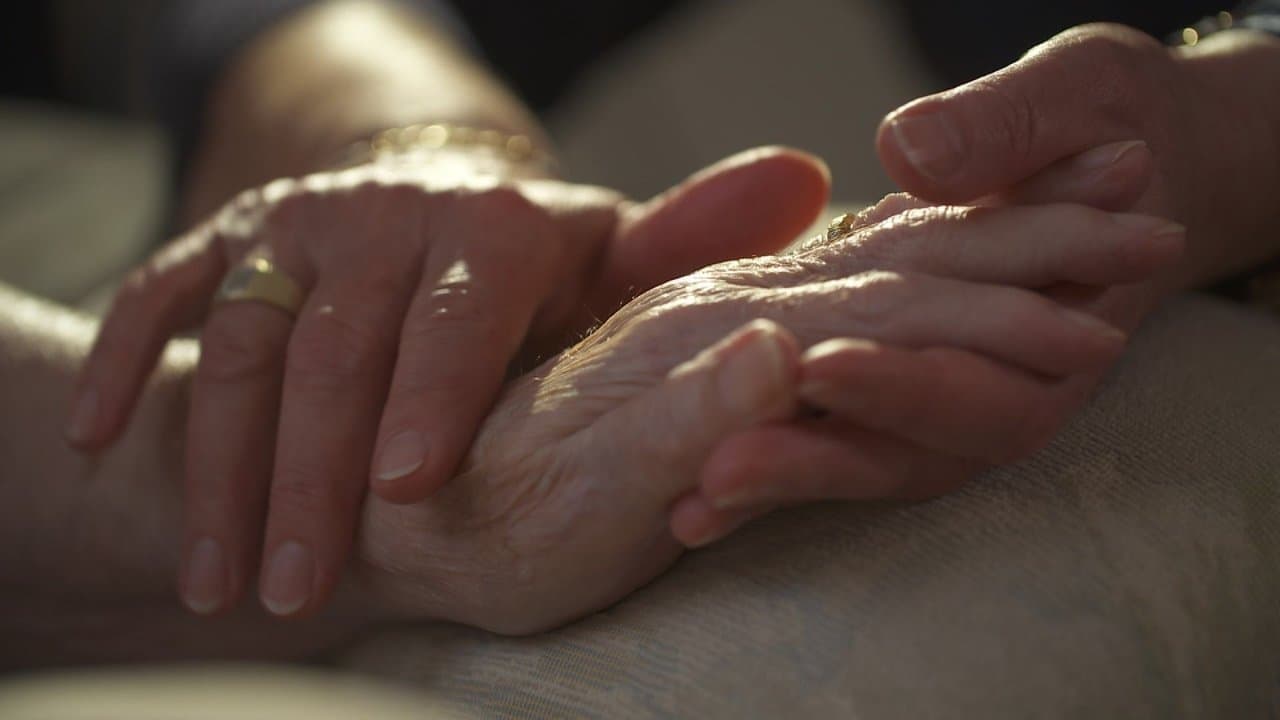 Le pouvoir des caresses - Le toucher, un contact vital backdrop