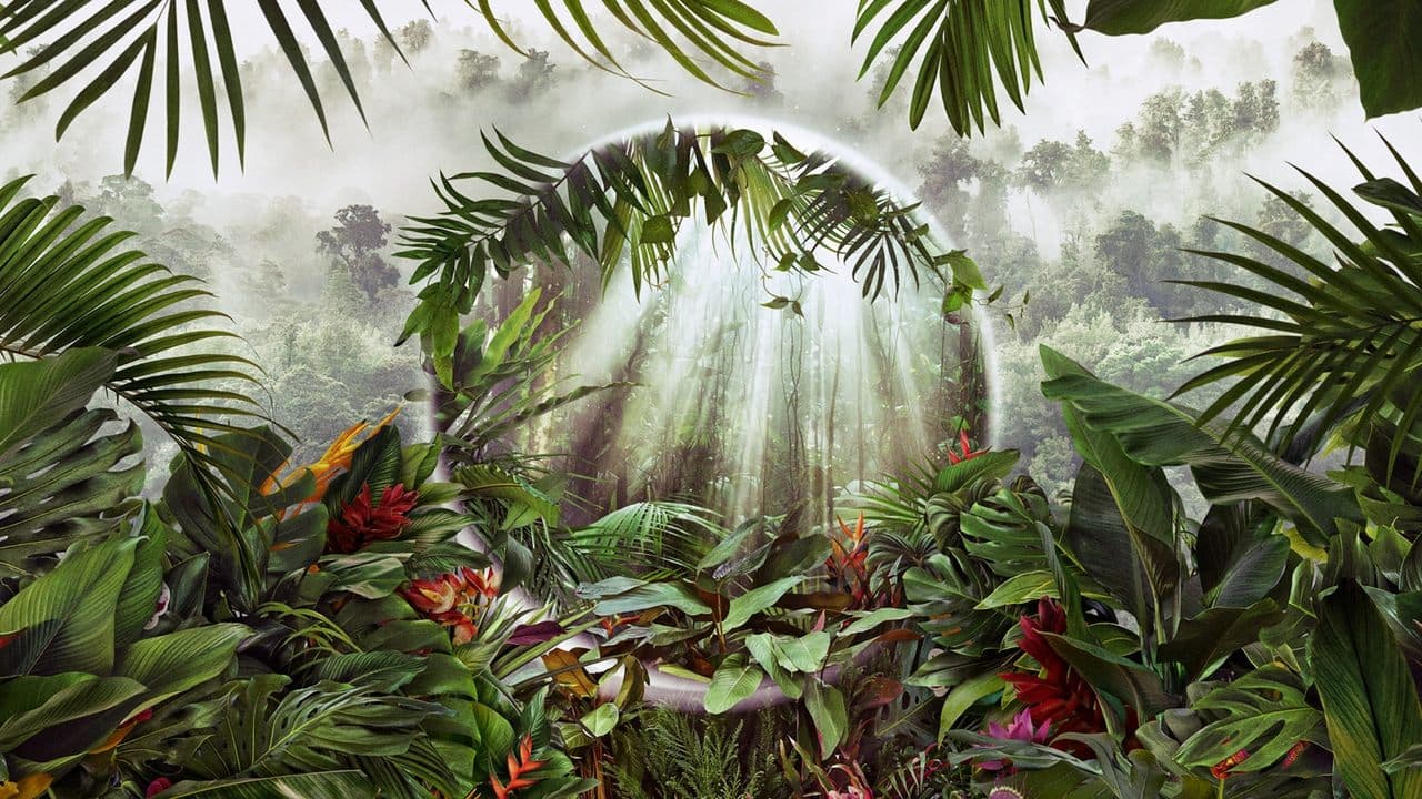 Les superpouvoirs des plantes backdrop