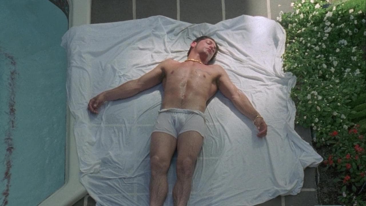 Hustler white backdrop