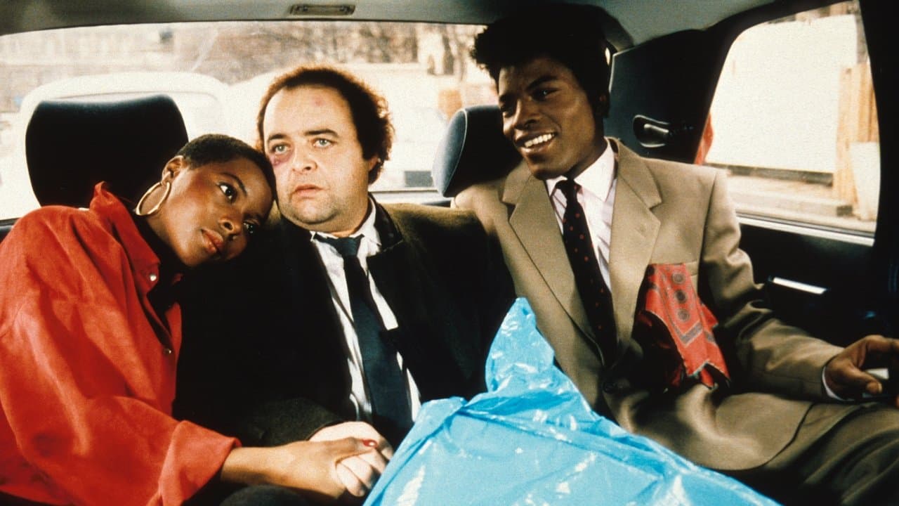 Black Mic Mac backdrop