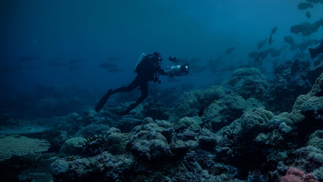 La Terre, La Nuit : La face cachée backdrop