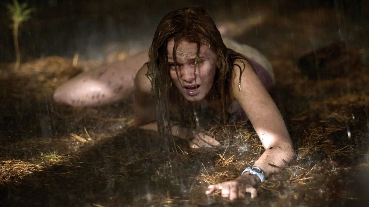 Promenons-nous dans les bois backdrop