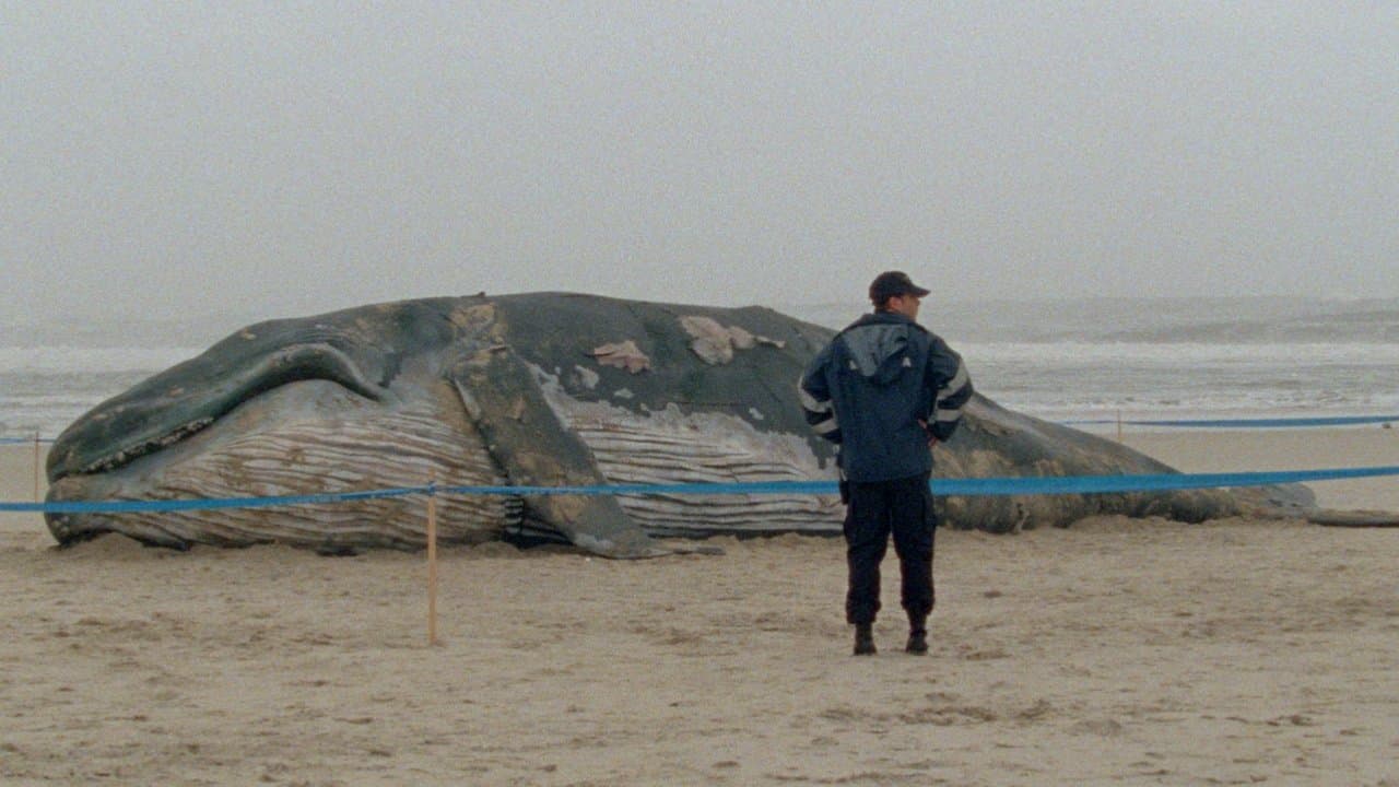 Les mille et une nuits : volume 1, l'inquiet backdrop