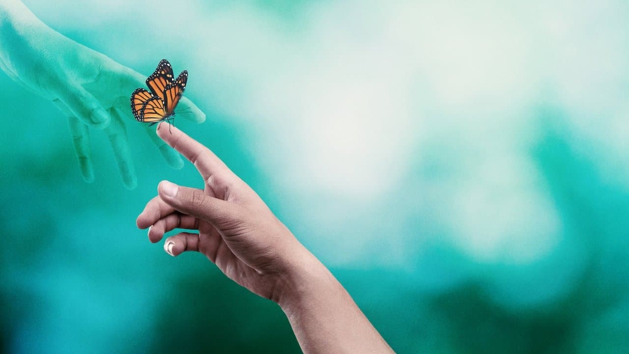 Survivre à la mort backdrop