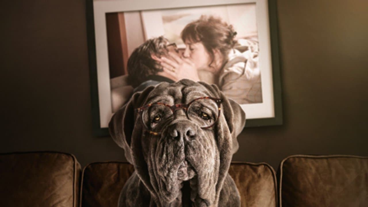 Mon Chien Stupide backdrop