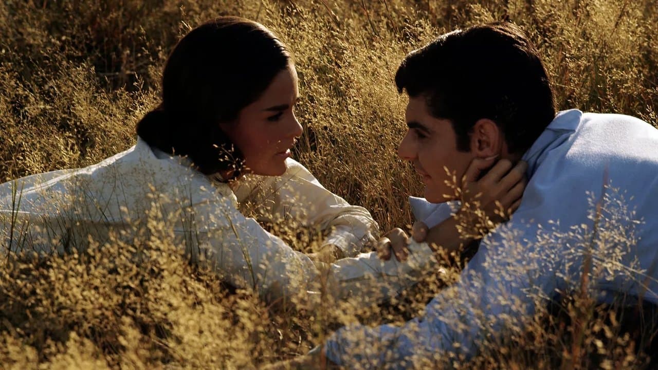 Goodbye Colombus backdrop