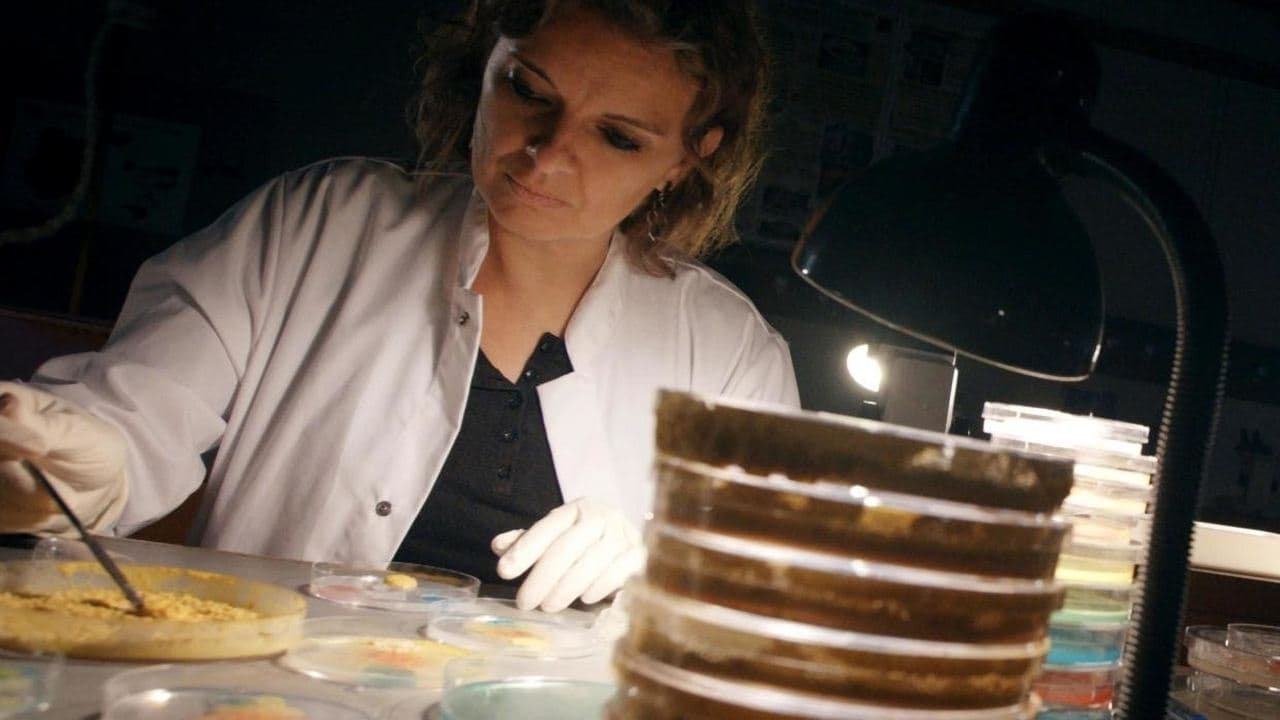 Le Blob, un génie sans cerveau backdrop