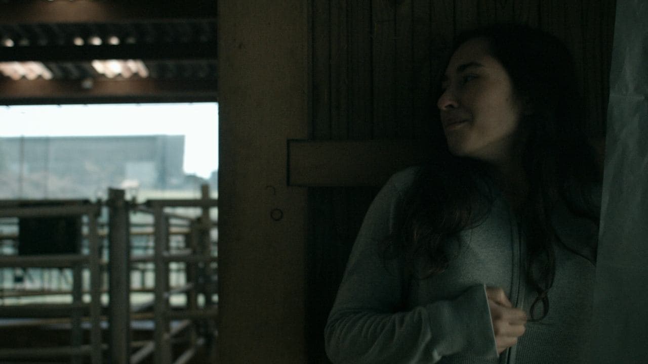 Les Animaux Anonymes backdrop