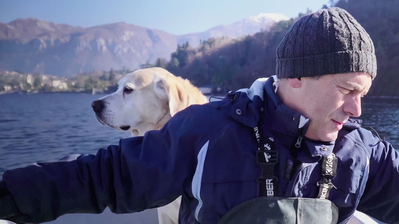 Nos amis les chiens backdrop