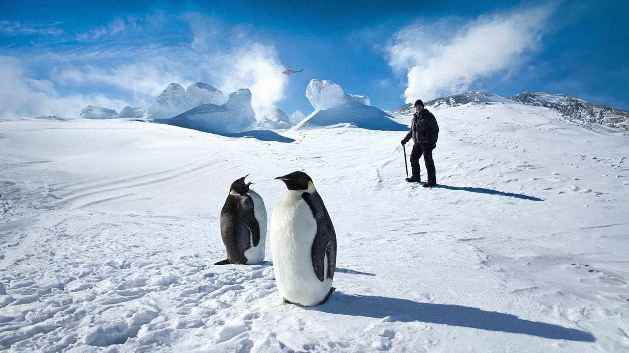 Antarctica - Une année sur la glace backdrop