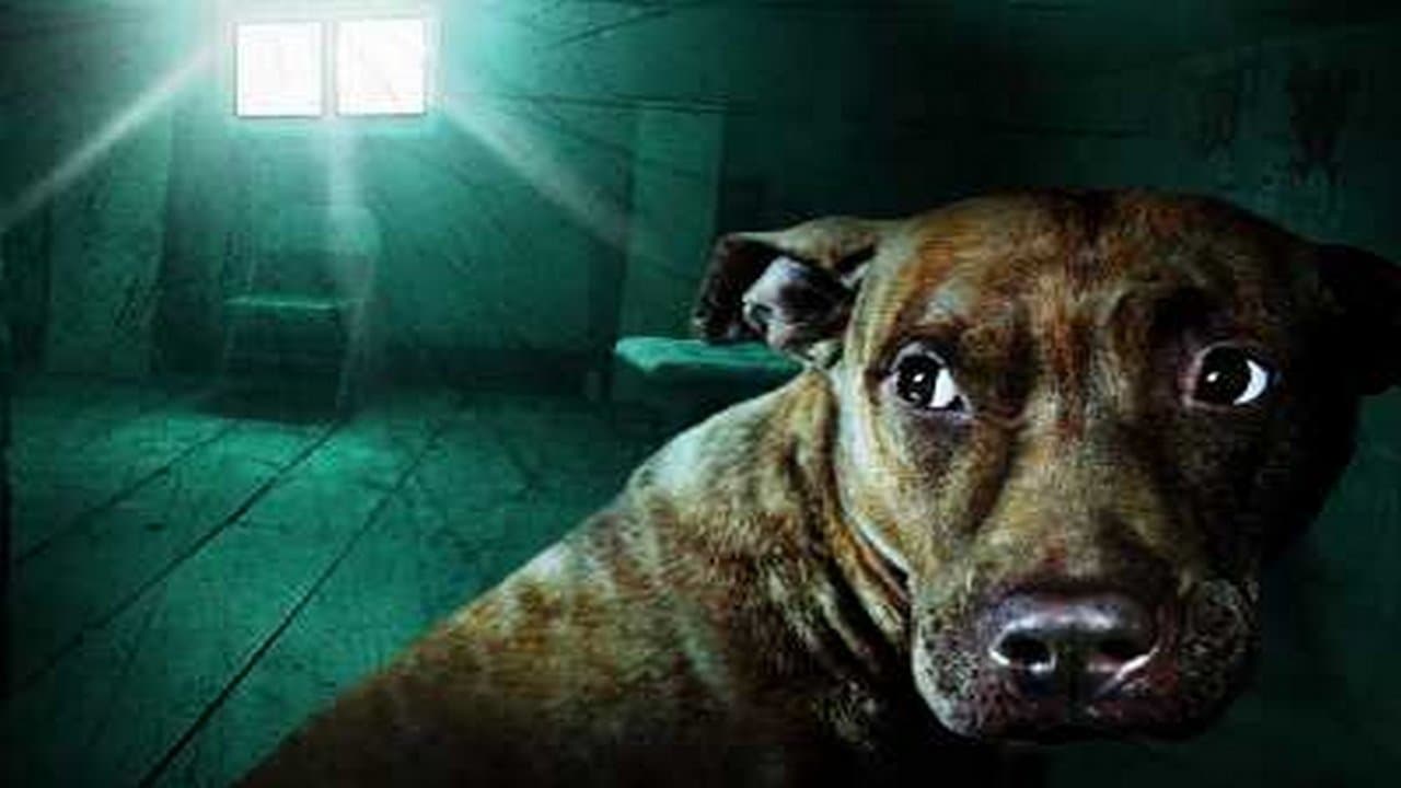 Paranormal Activity backdrop