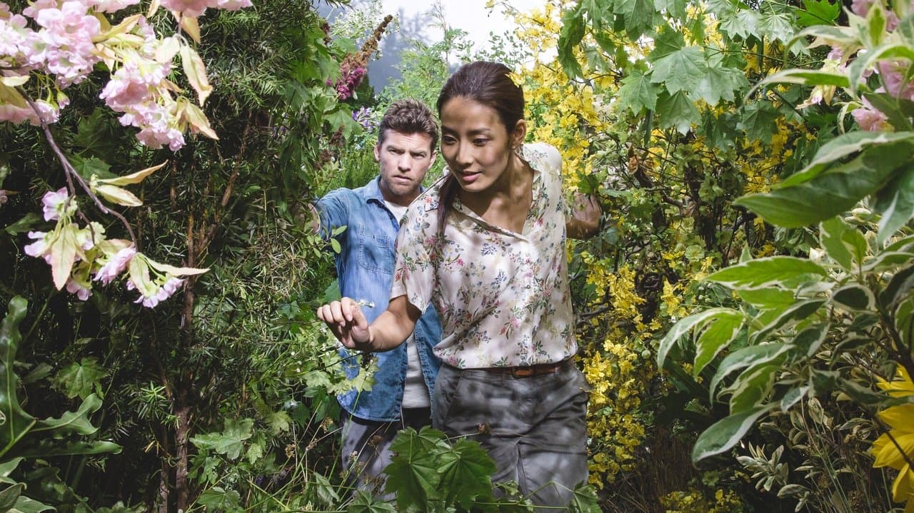 Le Chemin du pardon backdrop