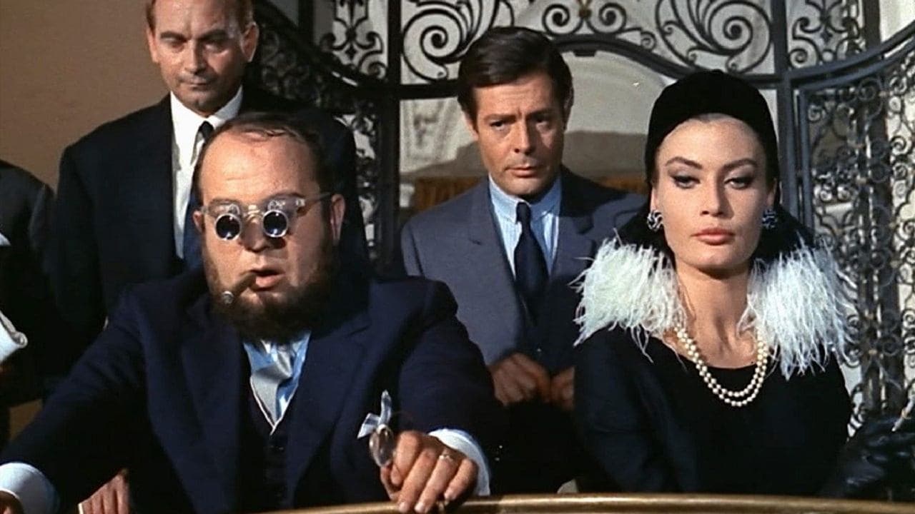 Casanova 70 backdrop