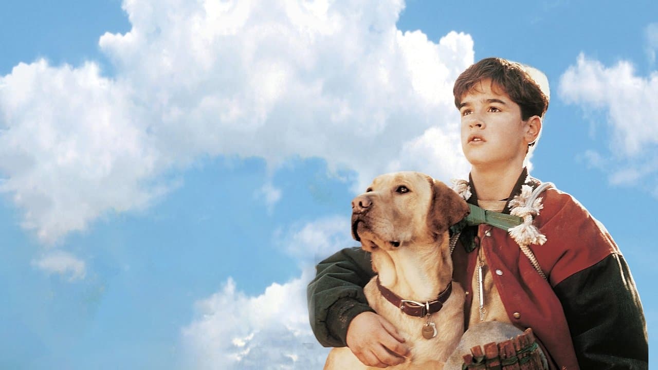 Loin de la maison backdrop