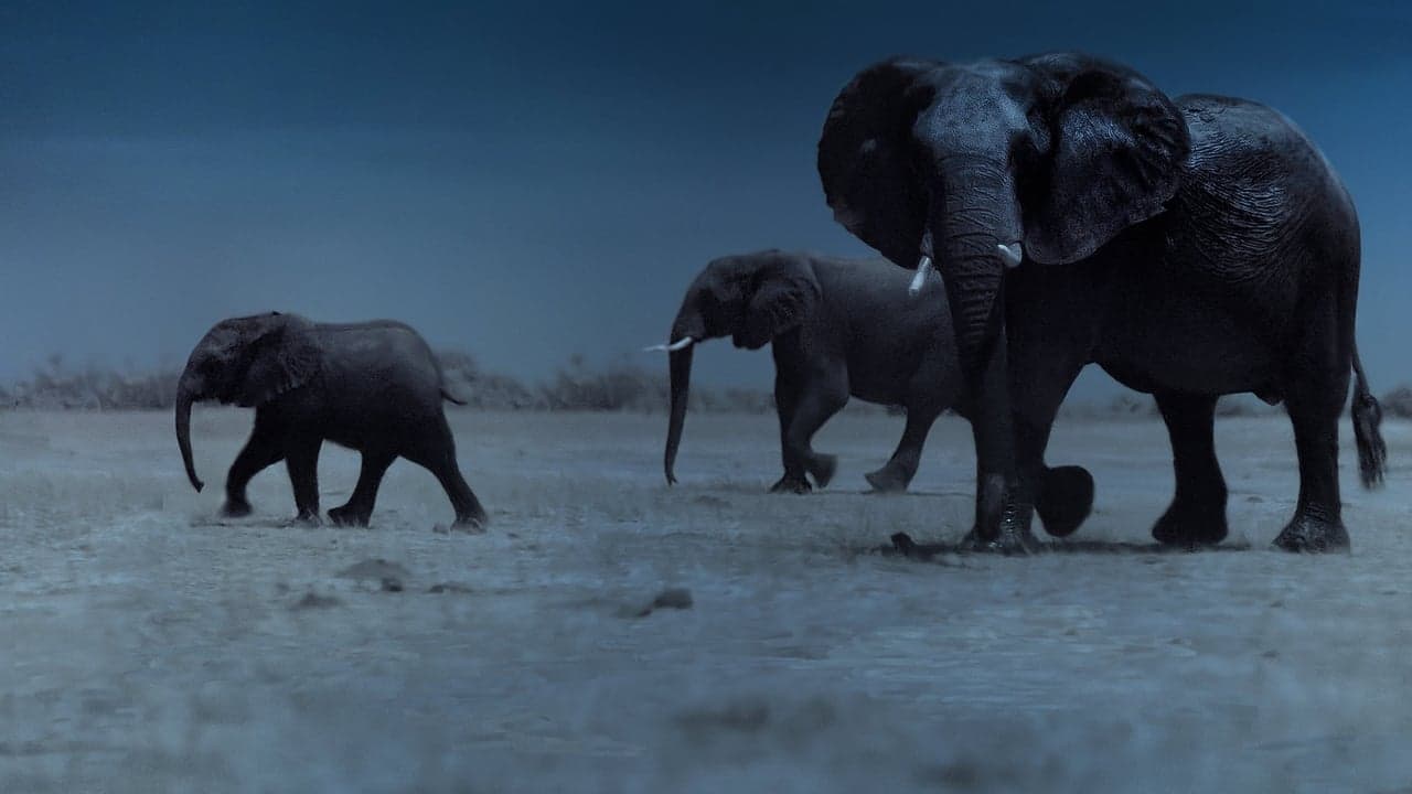La Terre, La Nuit backdrop