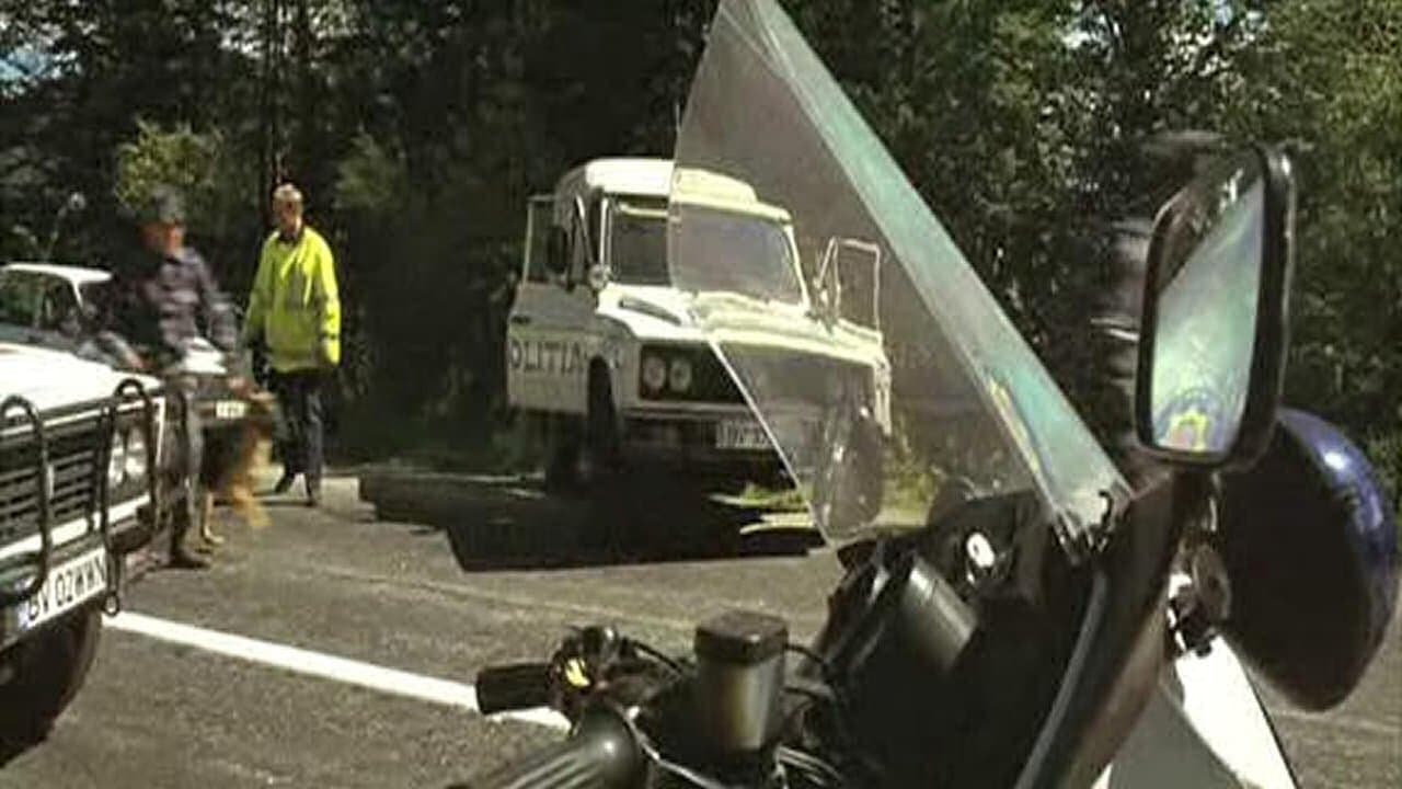 Entre chiens et loups backdrop