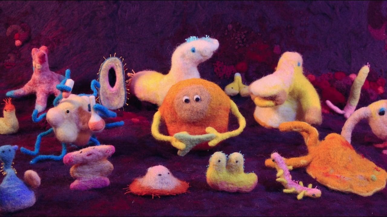 À l'écoute du ventre : Les Secrets de votre santé backdrop