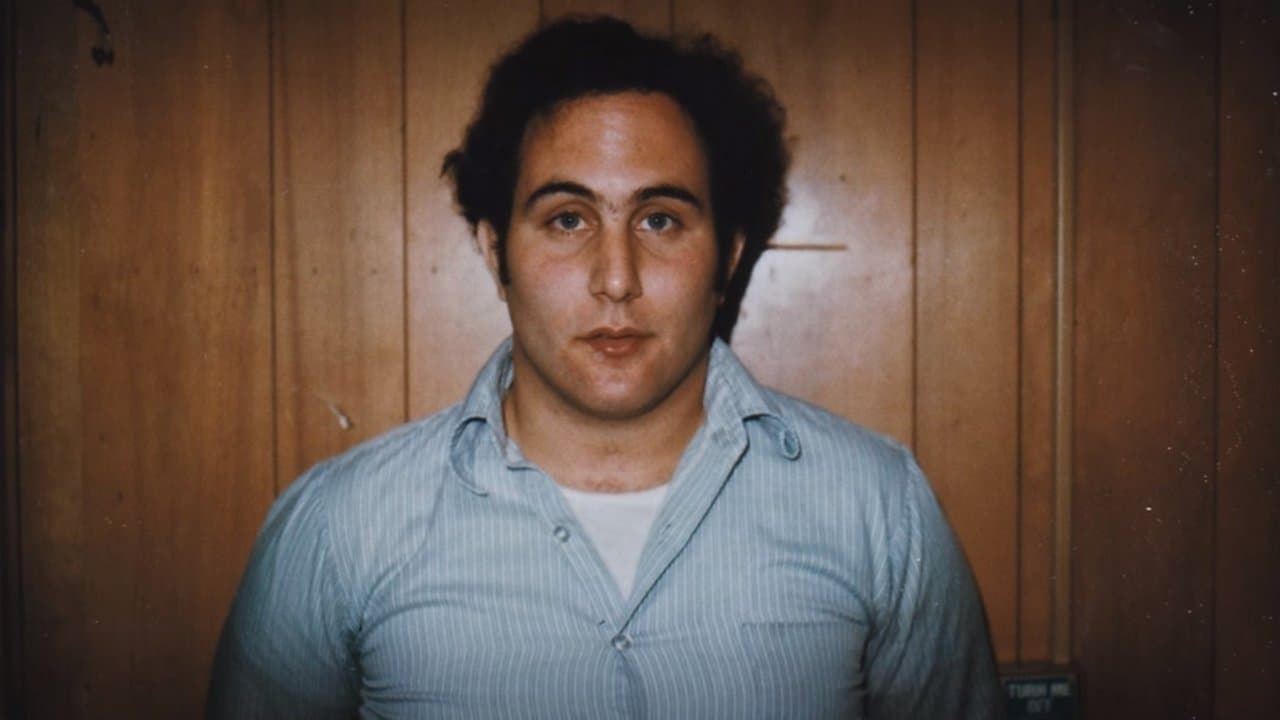 Les Fils de Sam : L'horreur sans fin backdrop