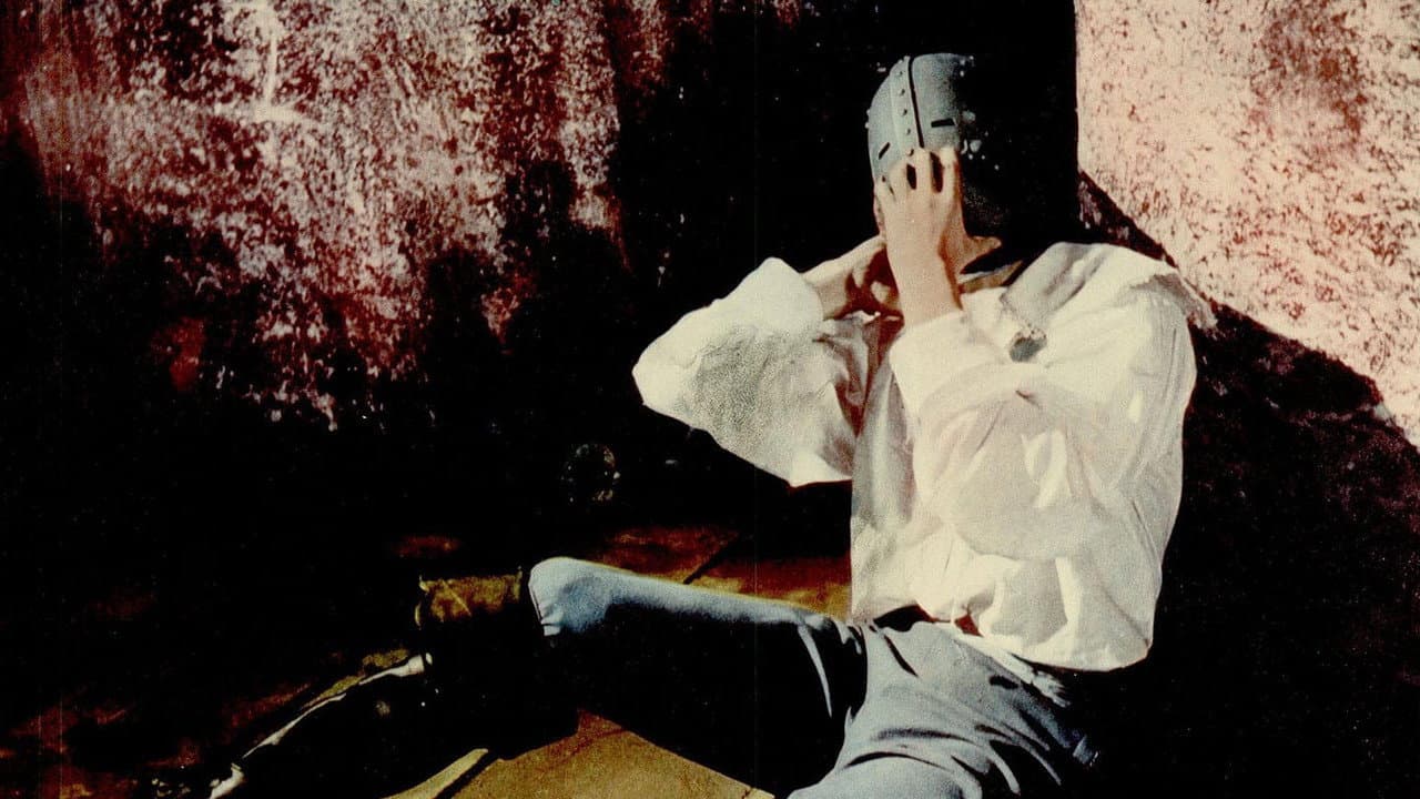 La Vengeance du Masque de fer backdrop