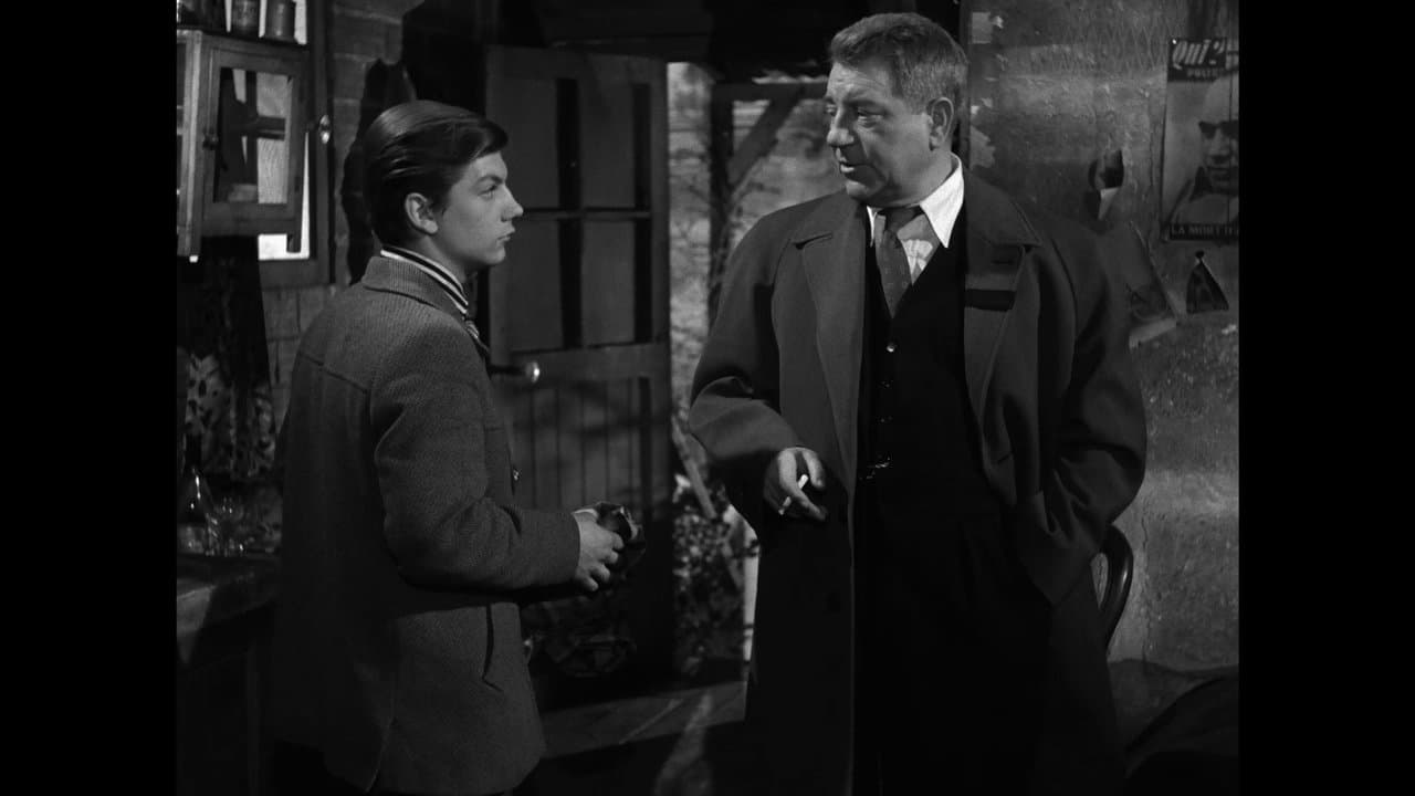 Chiens perdus sans collier backdrop