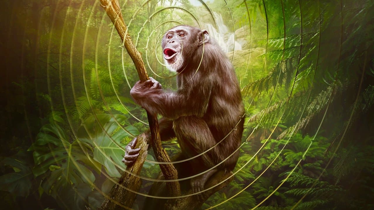 Earthsounds : les sons de la Terre backdrop