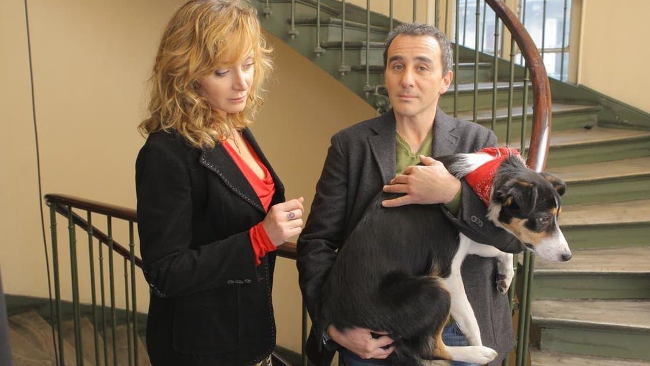 Un divorce de chien backdrop