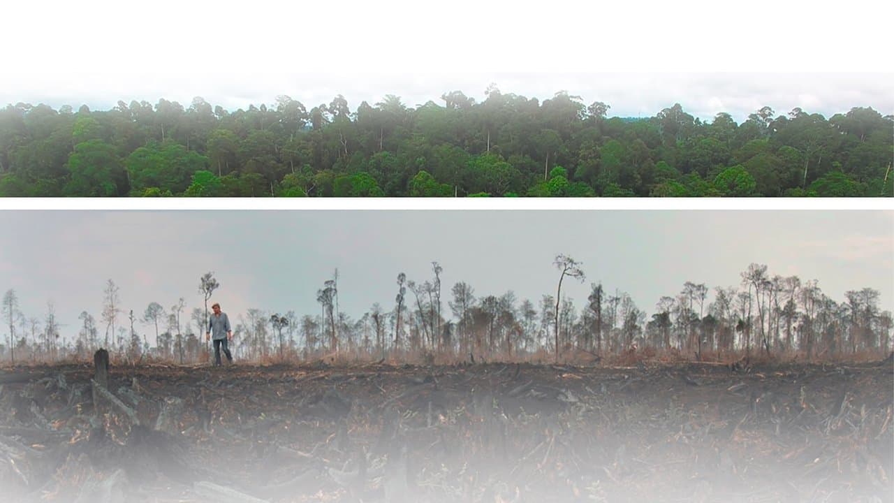 L'illusion verte backdrop