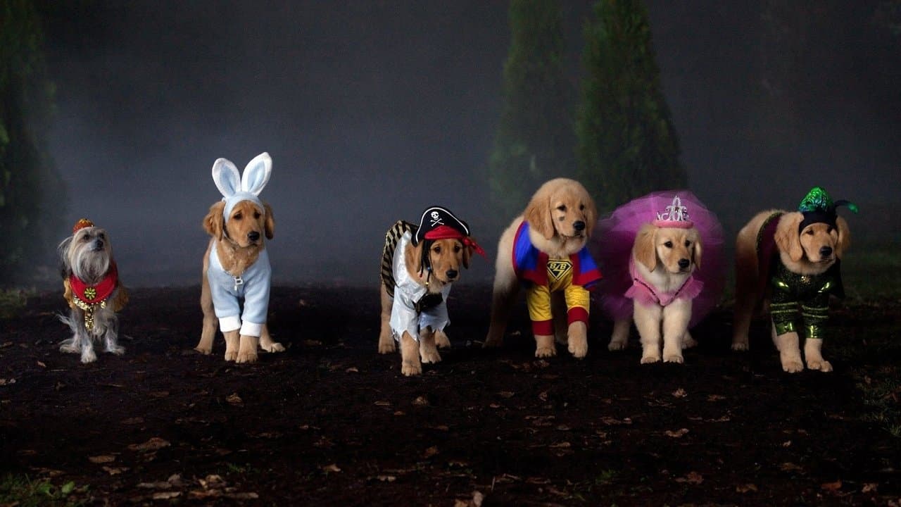 Les Copains et la légende du chien maudit backdrop