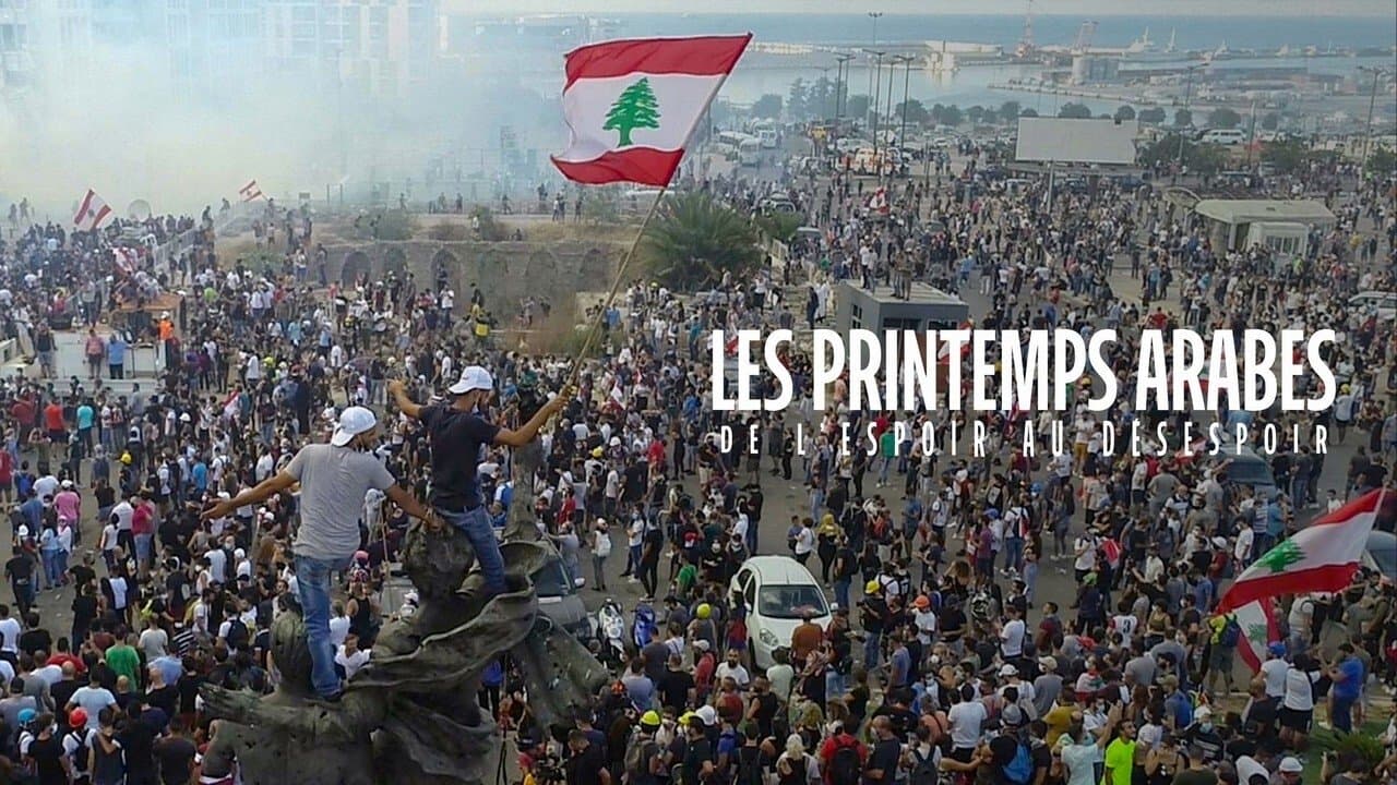 Les printemps arabes : de l'espoir au désespoir backdrop