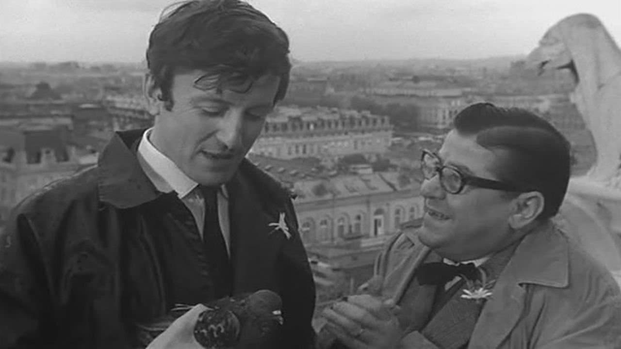 Les Compagnons de la Marguerite backdrop