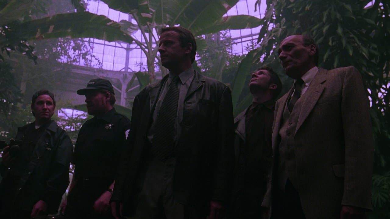 Résurrection backdrop