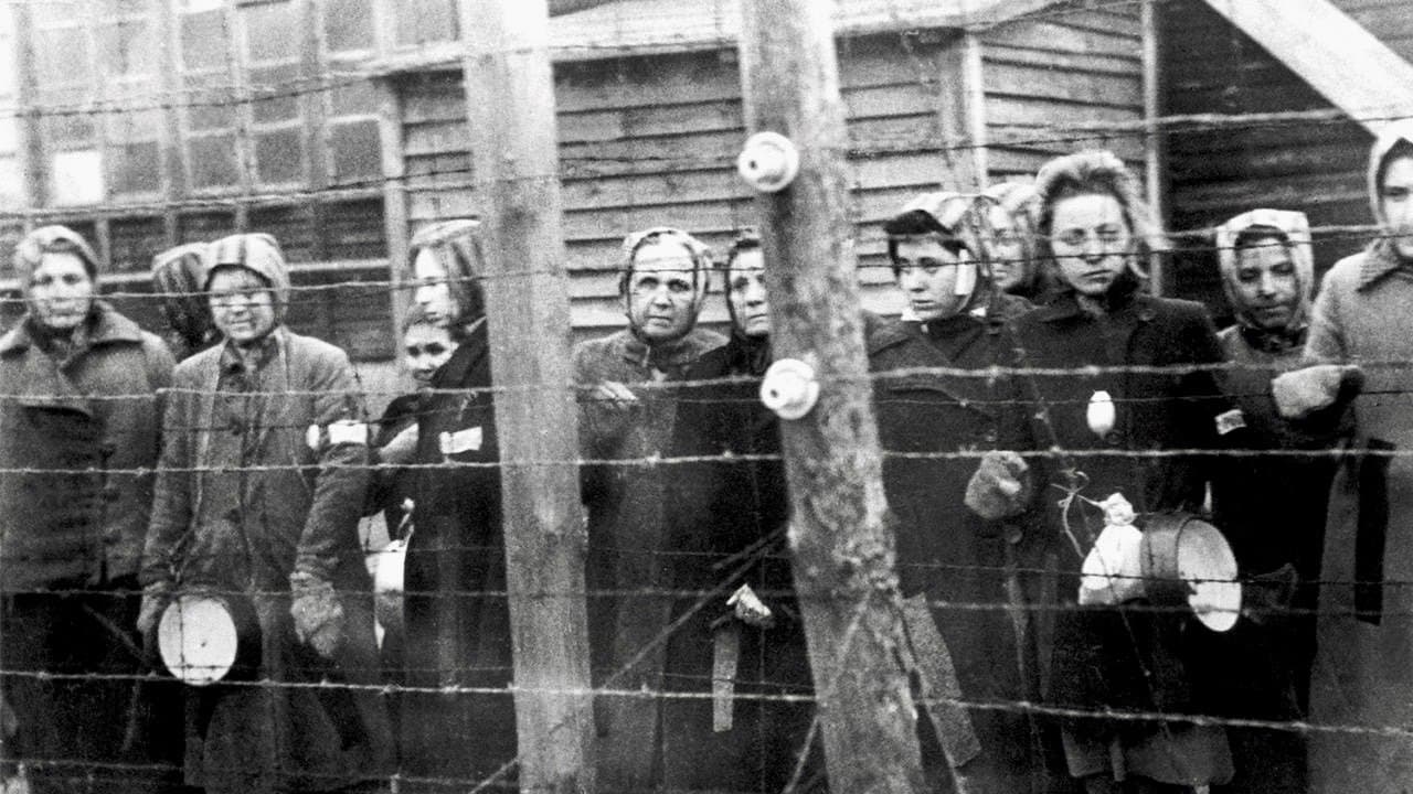 Ravensbrück, le camp oublié backdrop