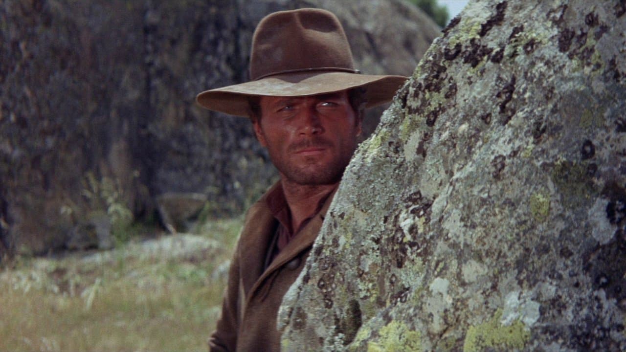 Texas adios backdrop