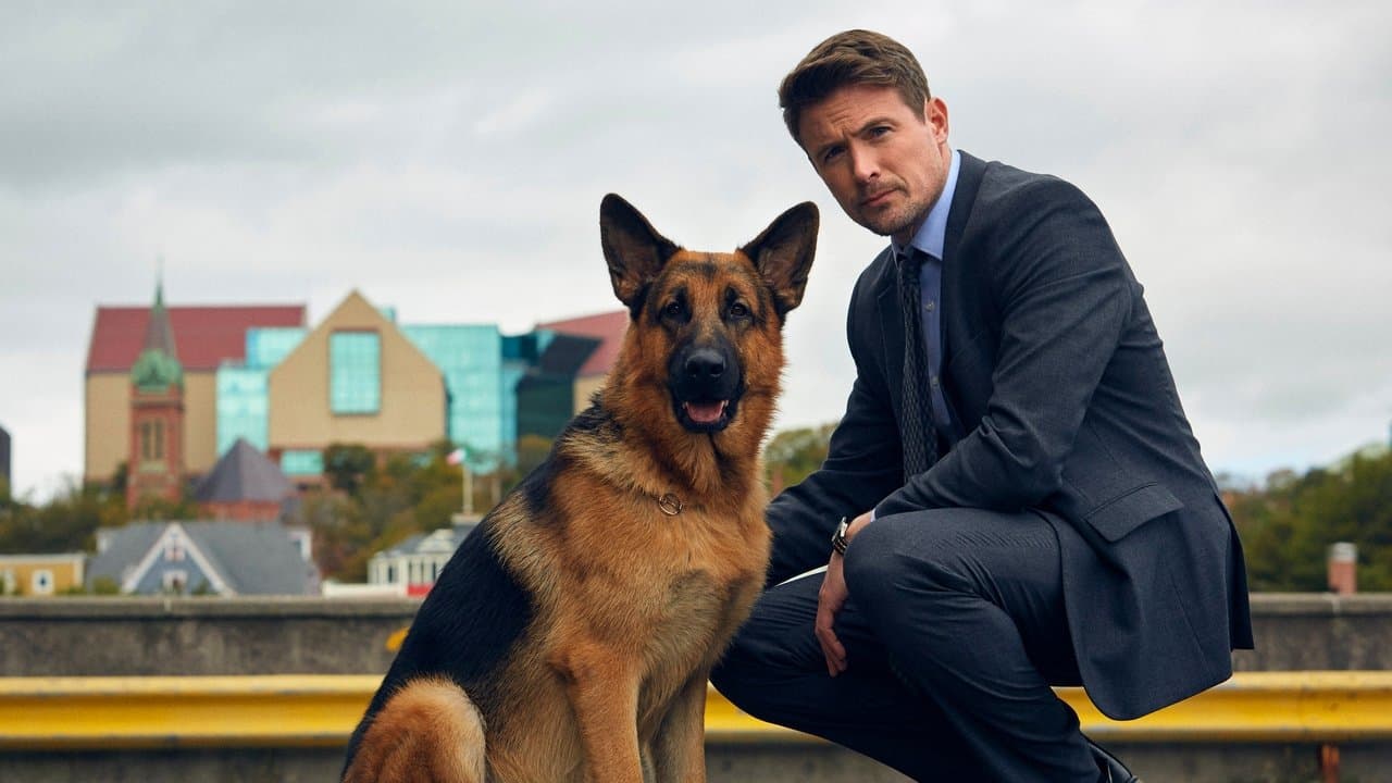 Hudson et Rex backdrop