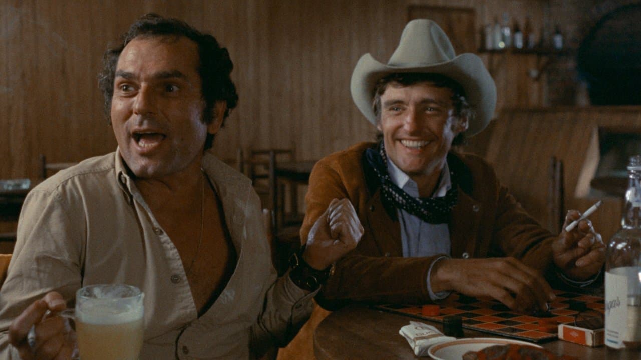 The Last Movie backdrop