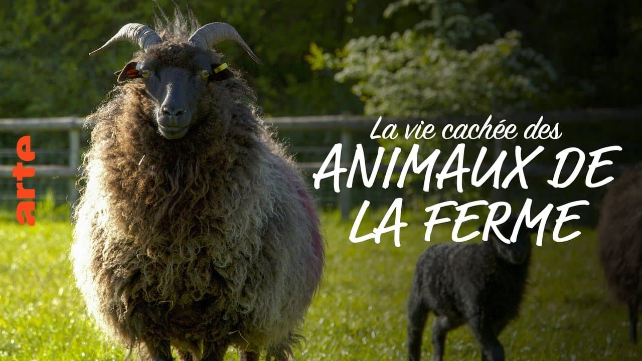 La vie cachée des animaux de la ferme backdrop