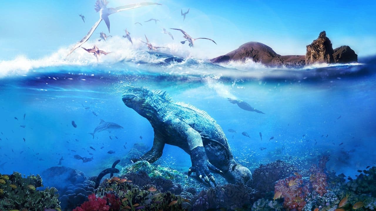Galápagos backdrop