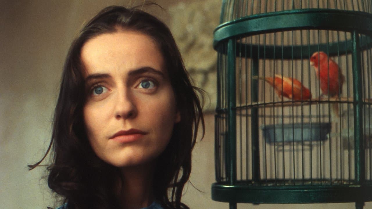 Val Abraham backdrop