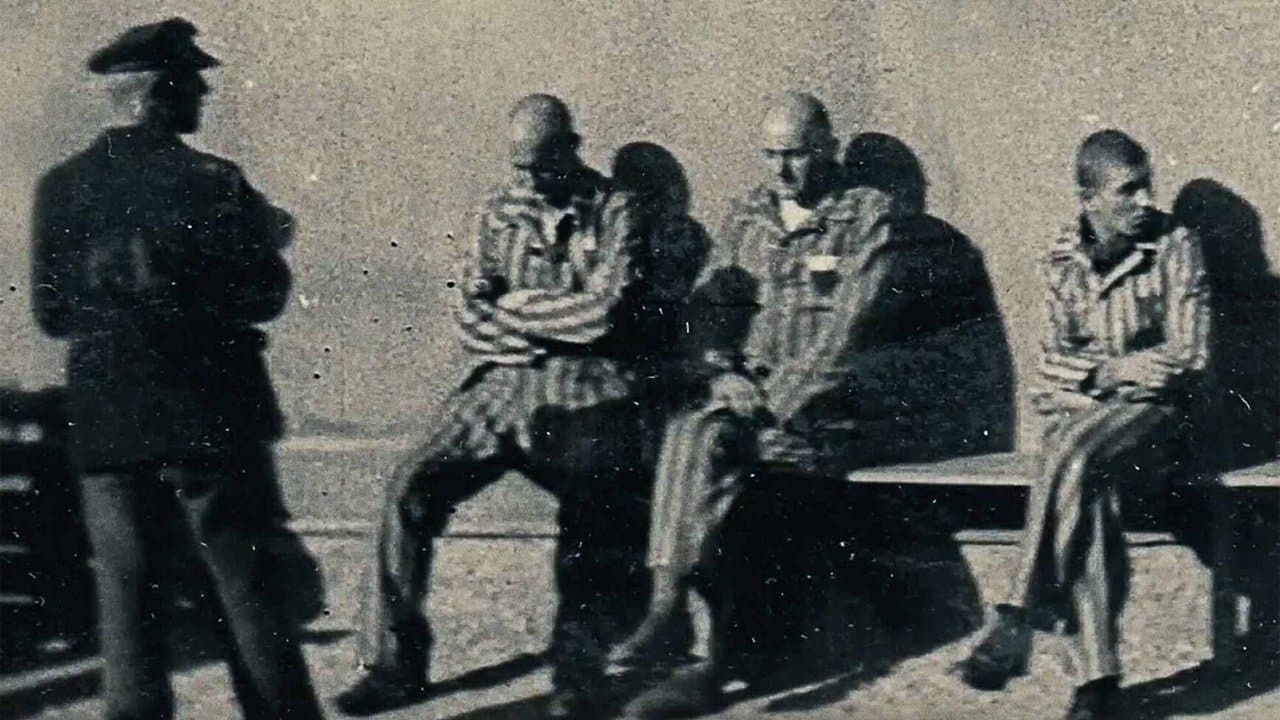 À pas aveugles backdrop