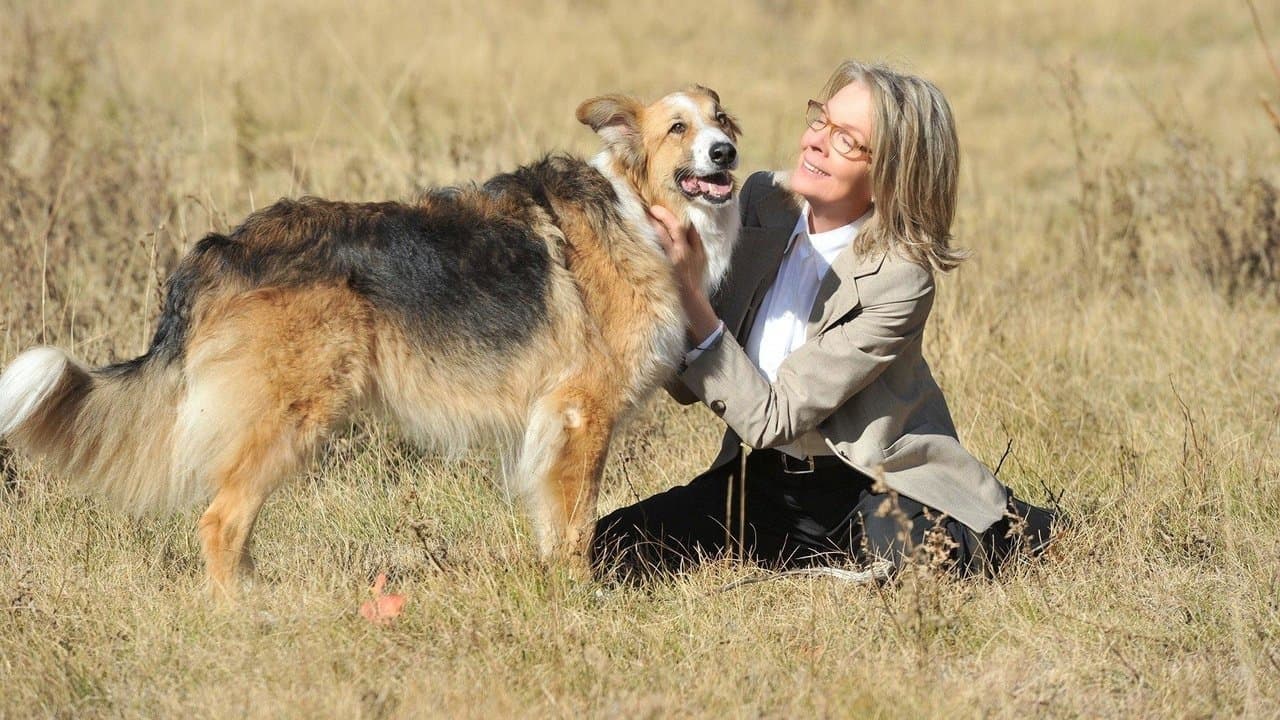 Freeway et nous backdrop