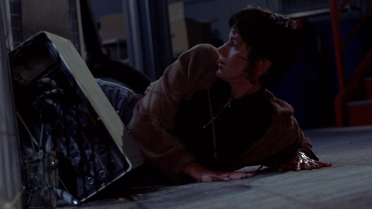 Max : Le Meilleur Ami de l'Homme backdrop