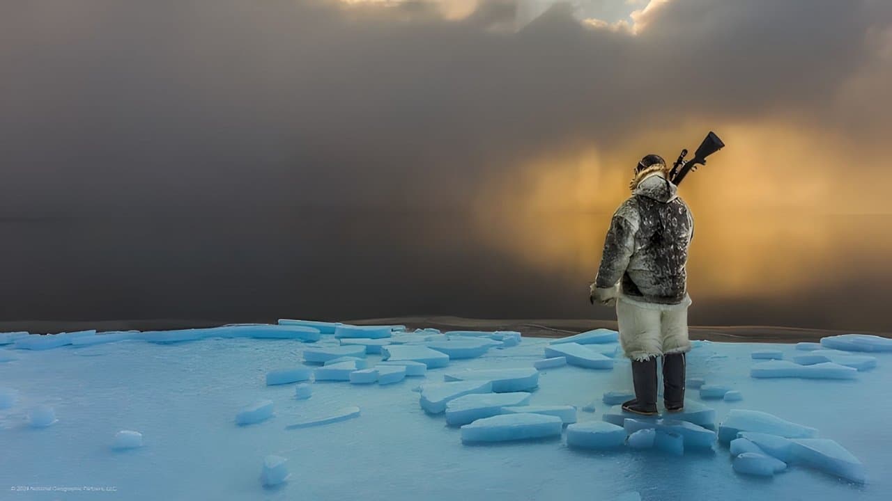 Photographes backdrop