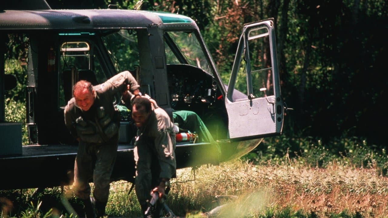 Air Force Bat 21 backdrop